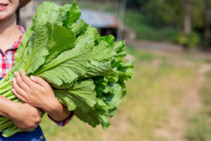 Leafy greens